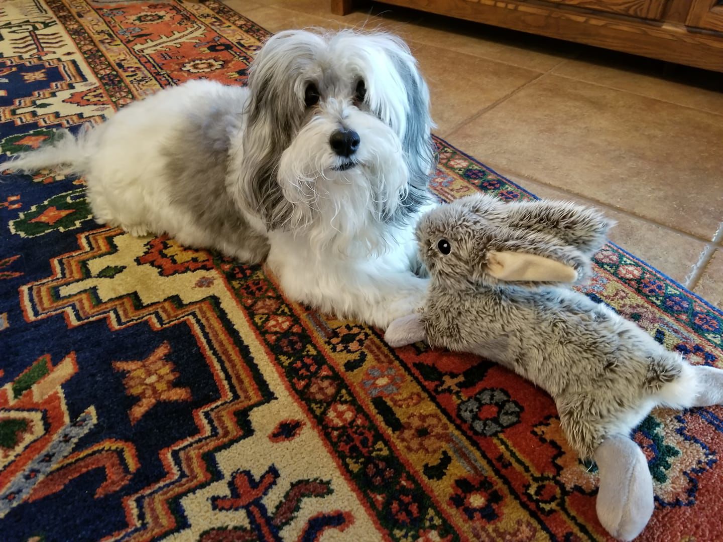 Readers pet photos